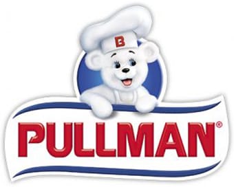 pullman logo 1